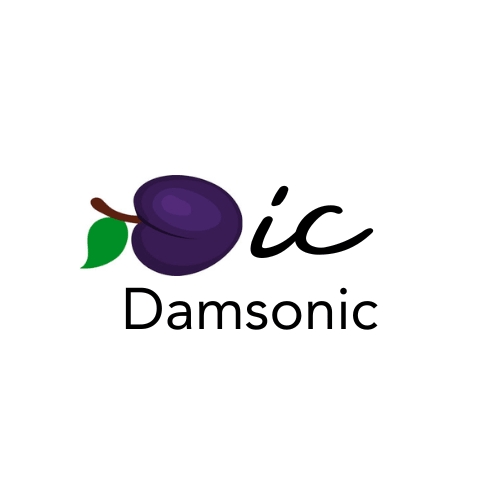 Damsonic logo