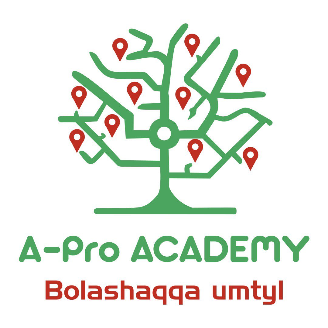 A-Pro Academy logo