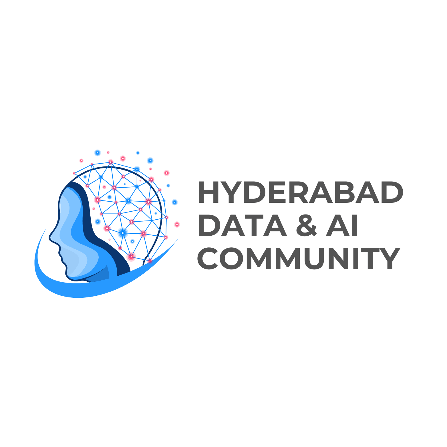 Hyderabad Data &amp; AI Community logo