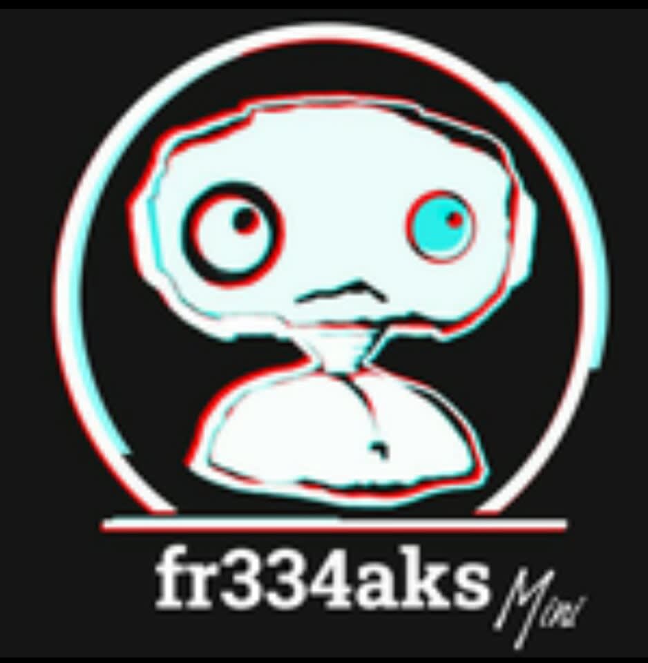 fr334aks-mini logo