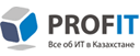 Profit logo