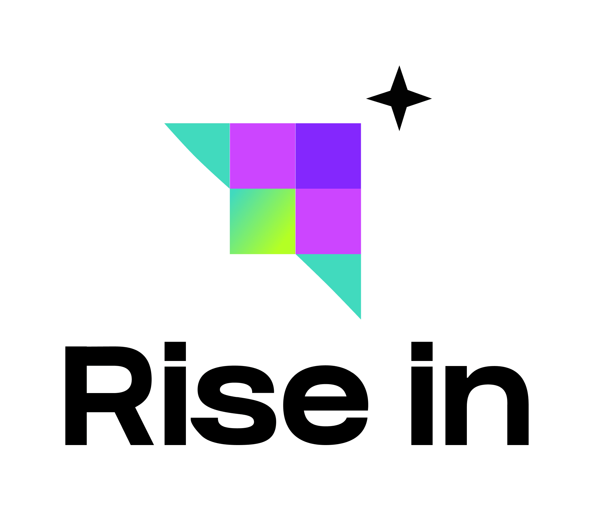 Rise In logo