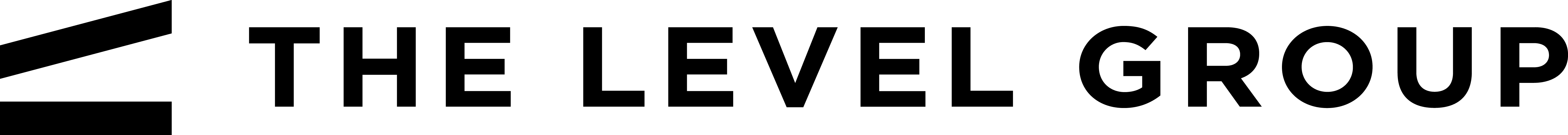 The Level Group logo