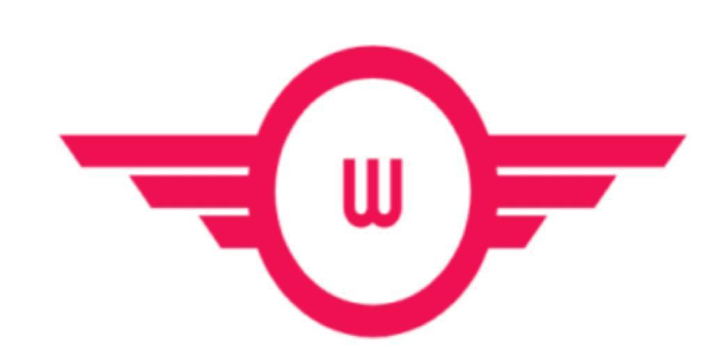 Wisdom ICT Solutions logo