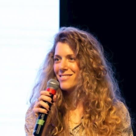 Shir Meir Lador