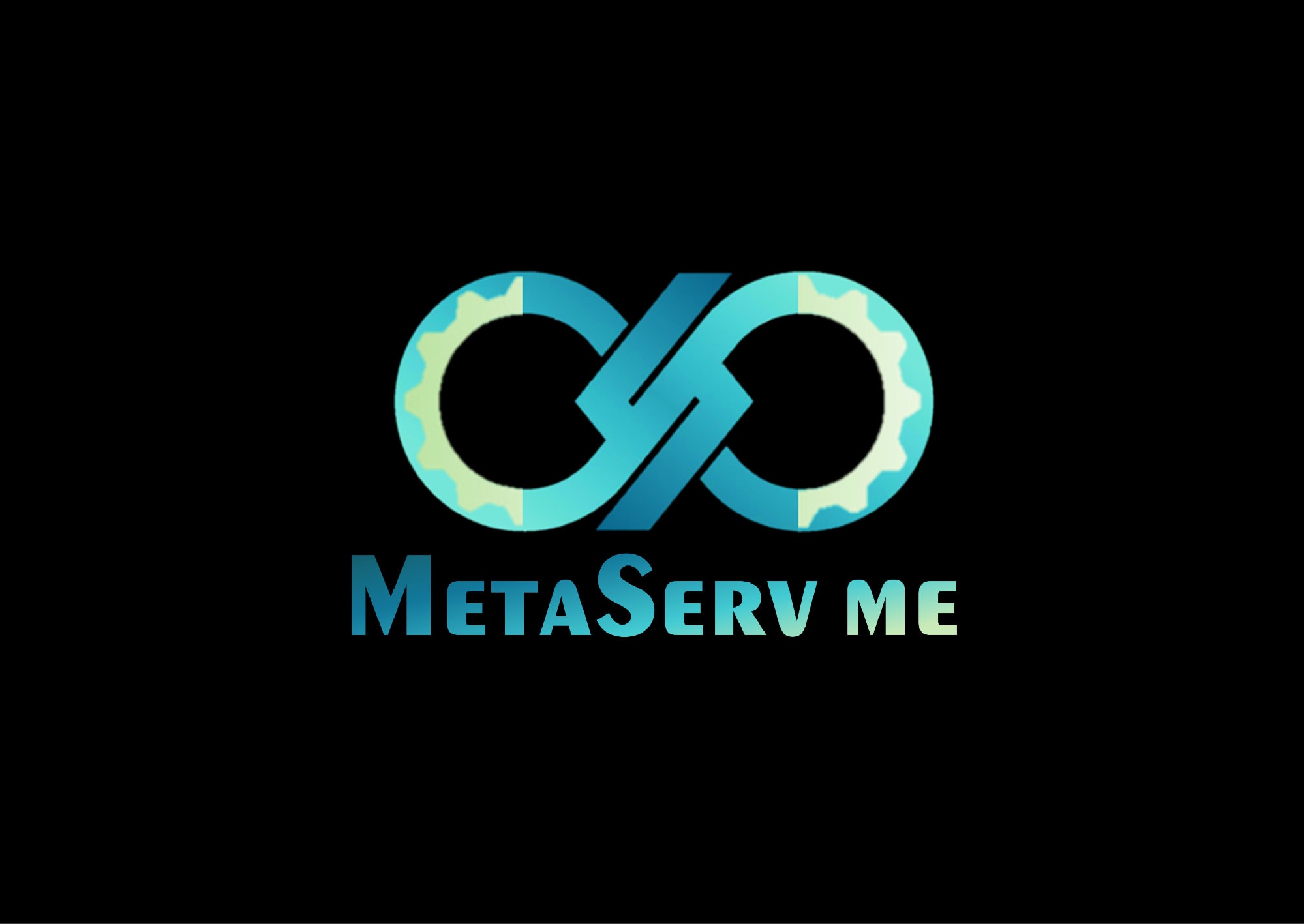 Metaserv ME logo
