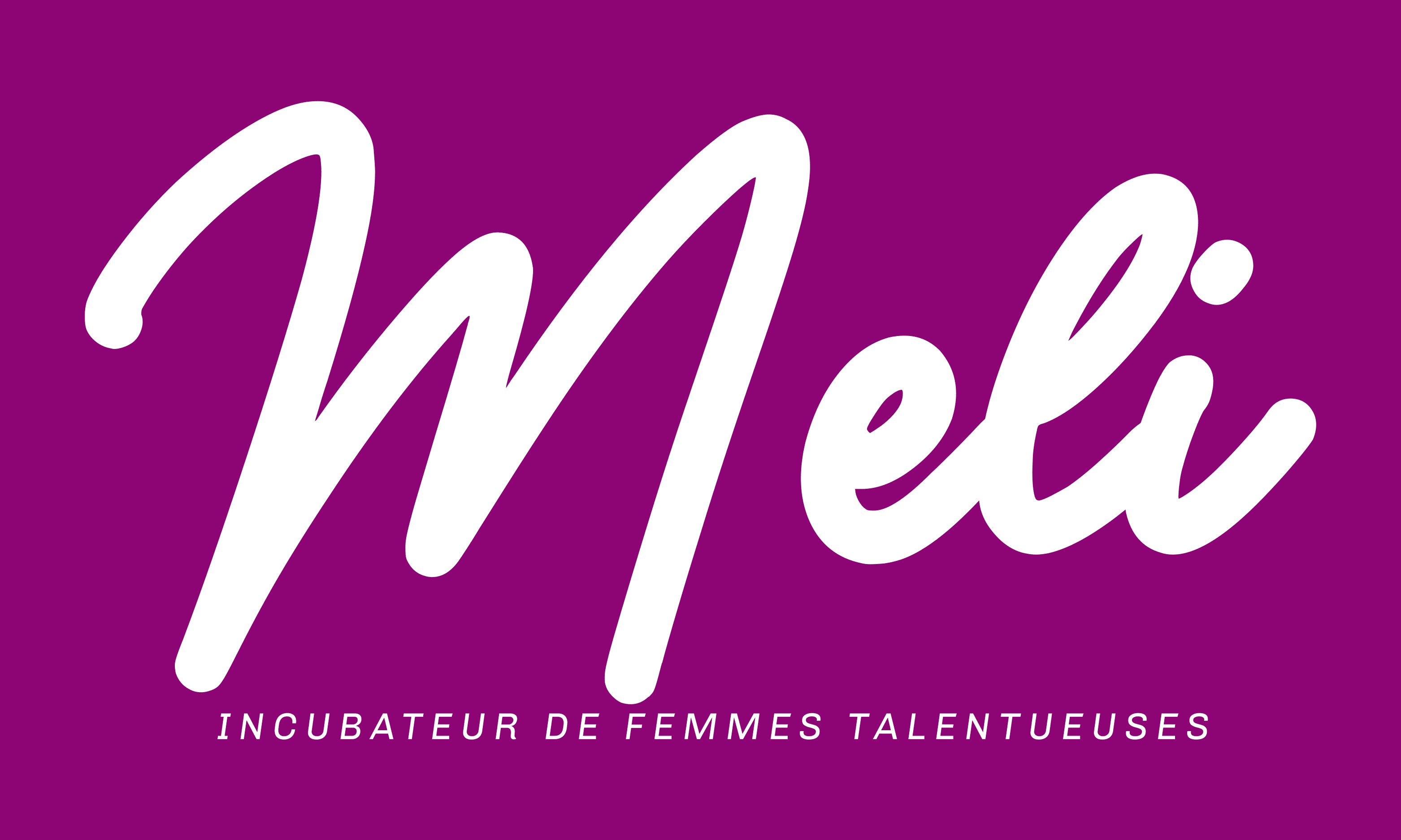 Meli Consulting logo