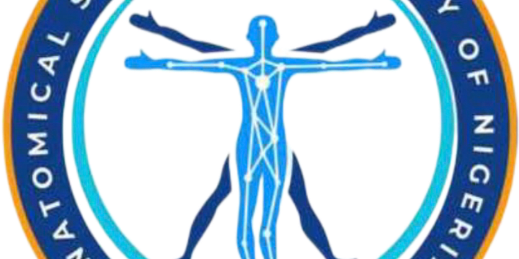 ASSONOOU logo