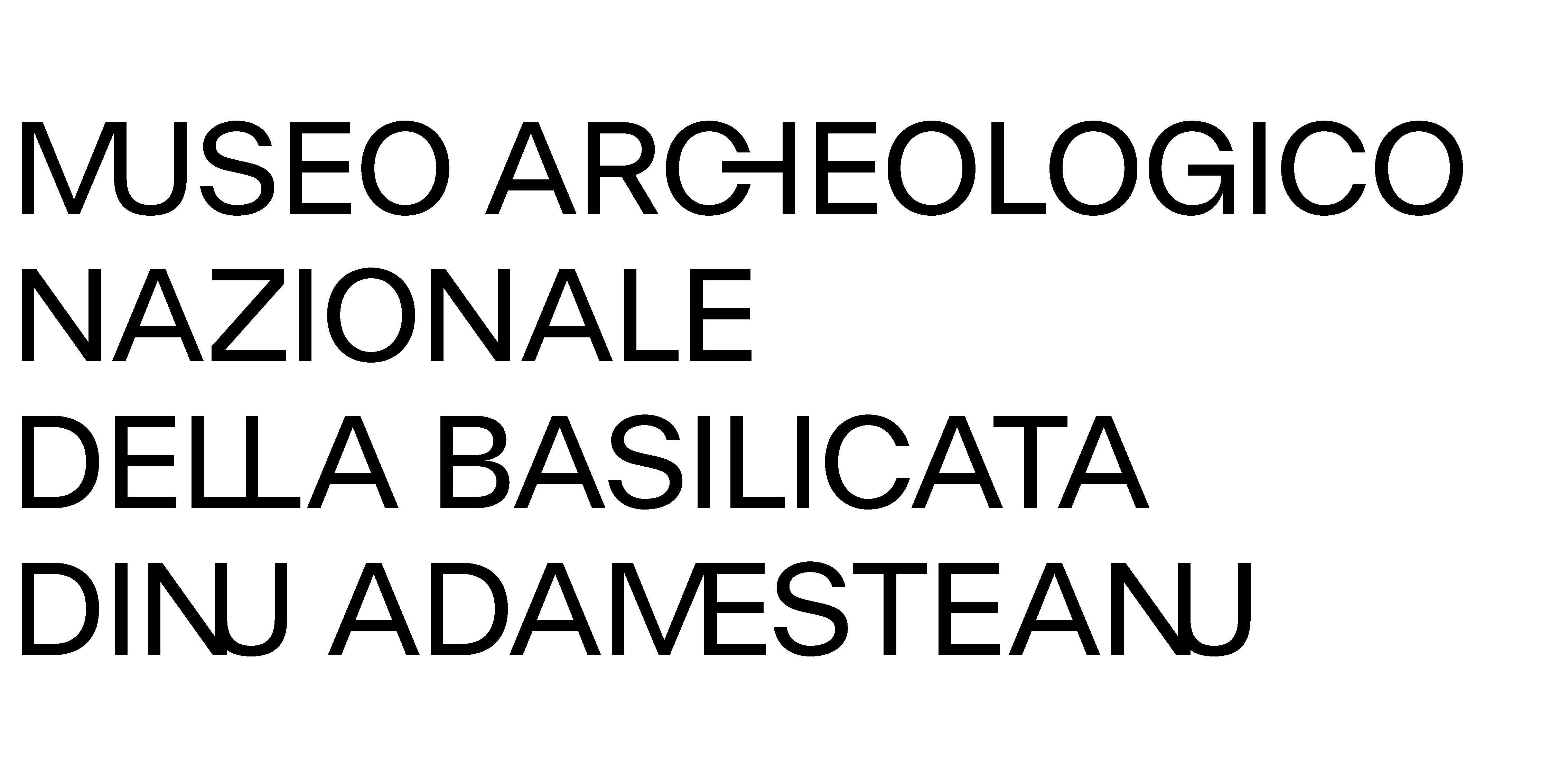 Museo Archeologico Nazionale "Dinu Adamesteanu" logo
