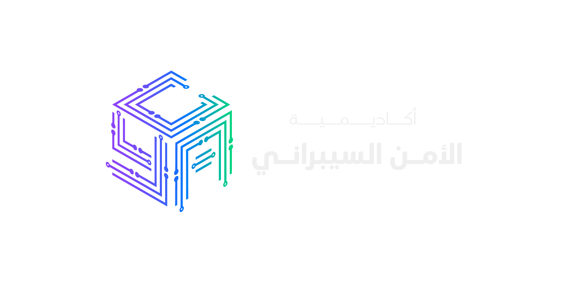 أكاديمية الأمن السيبراني logo