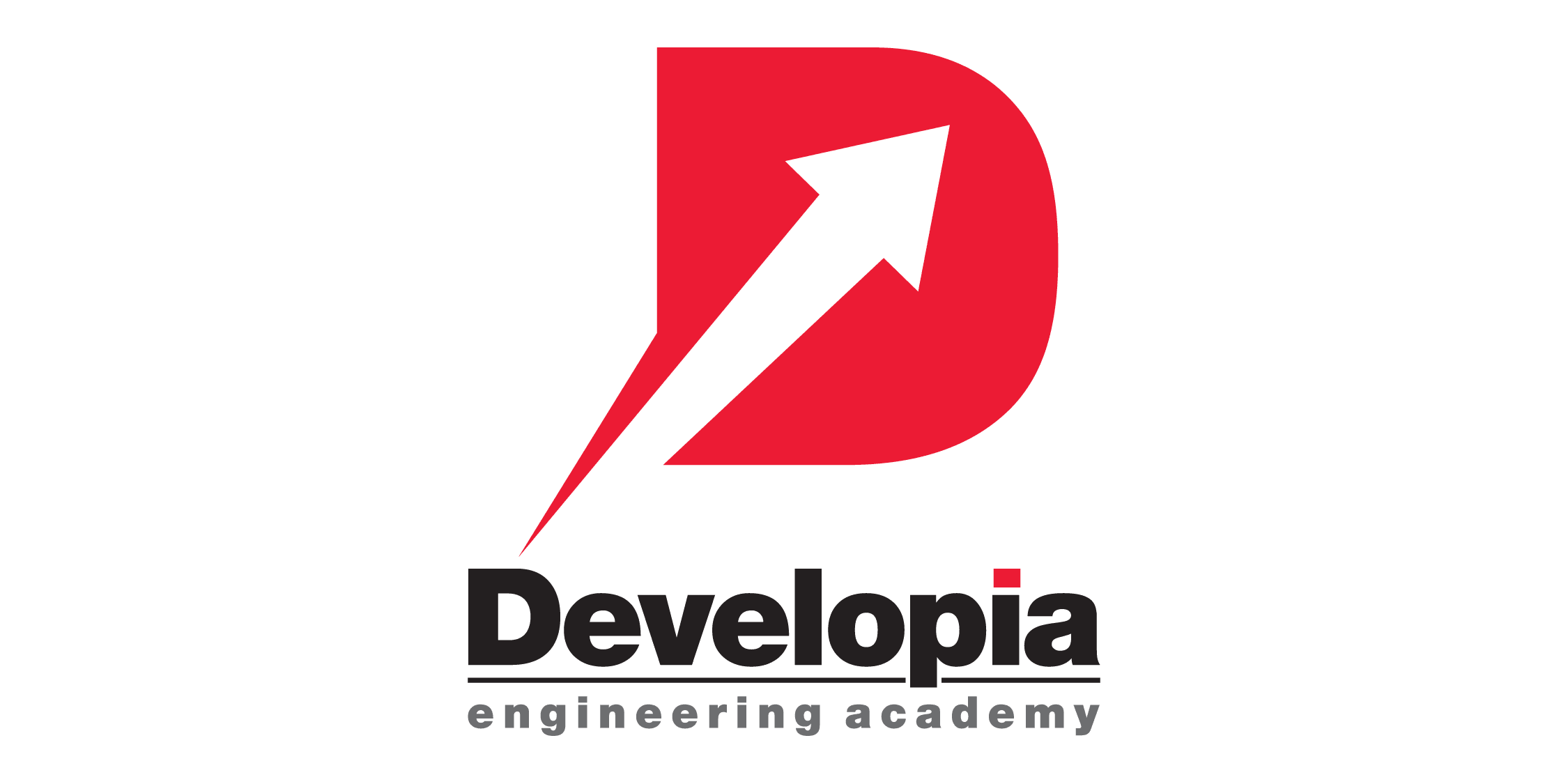 Developia logo