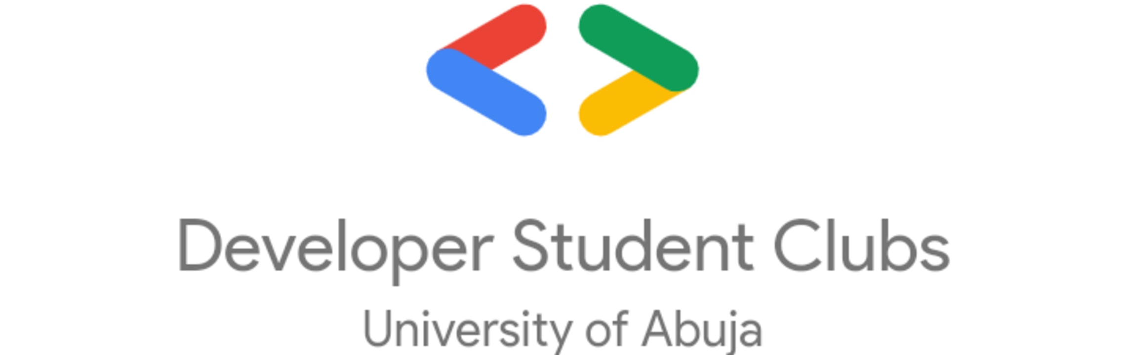 Developer Students Club University of Abuja logo