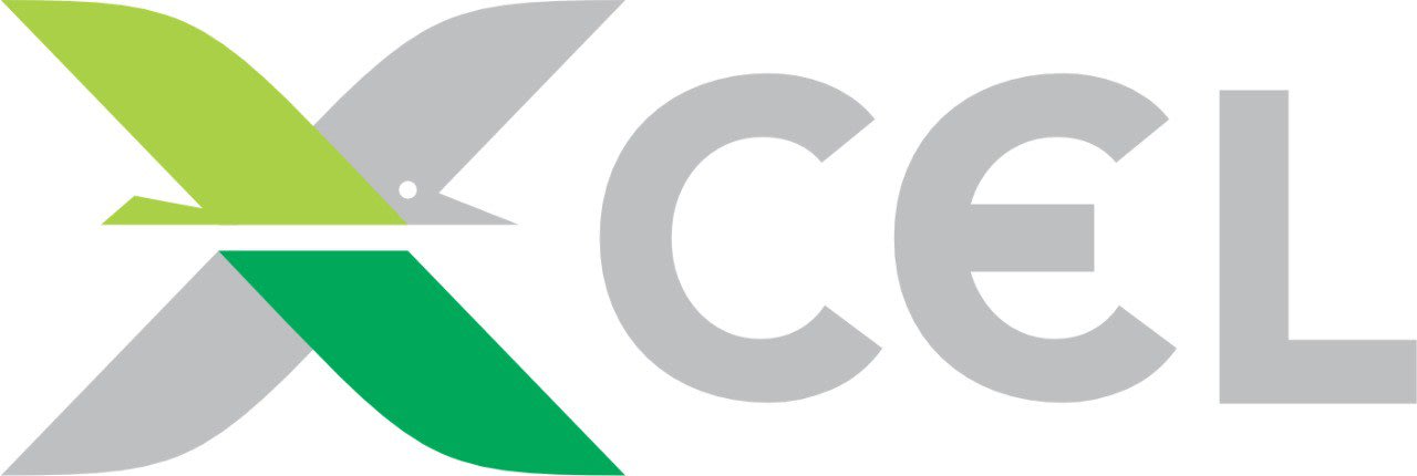 XCEL OLIMPIAD logo