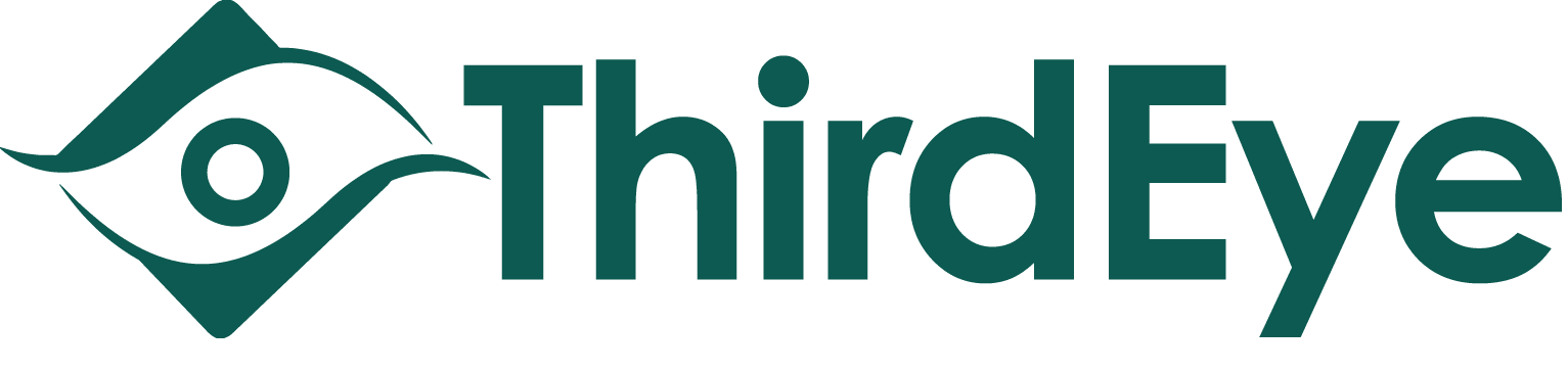 ThirdEye Consulting logo