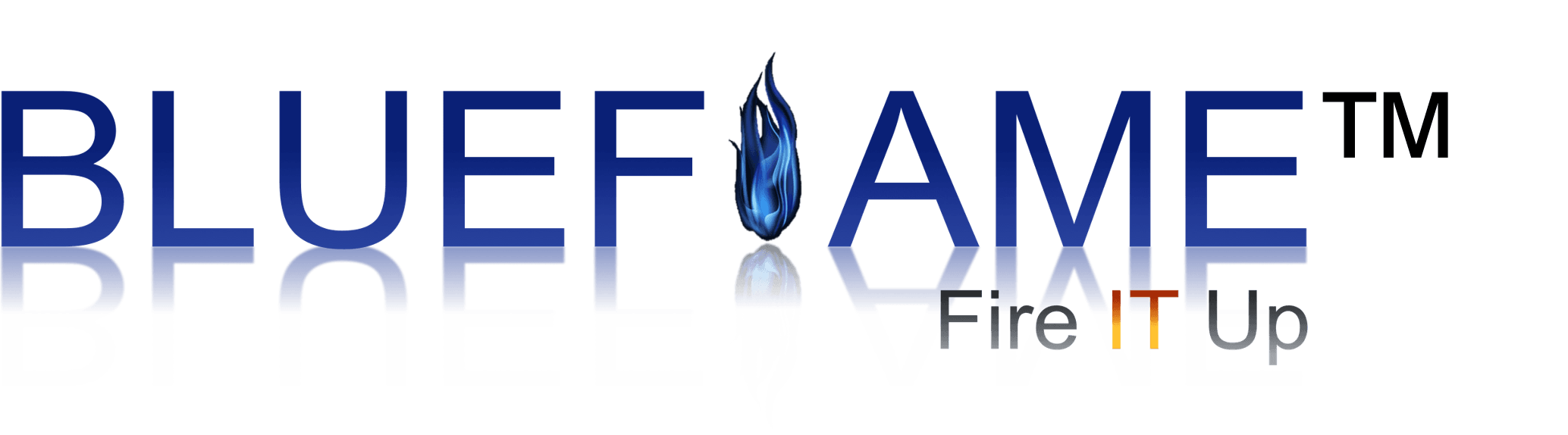 Blue Flame Labs Pvt Ltd logo