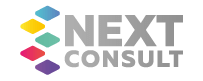 Next Consult logo