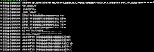 Terminal screen displaying Linux boot log. Includes kernel version, system initialization messages, and hardware details on a black background.