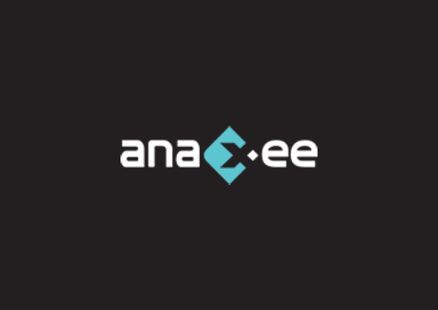 Anaxee Digital Runners Pvt. Ltd. logo