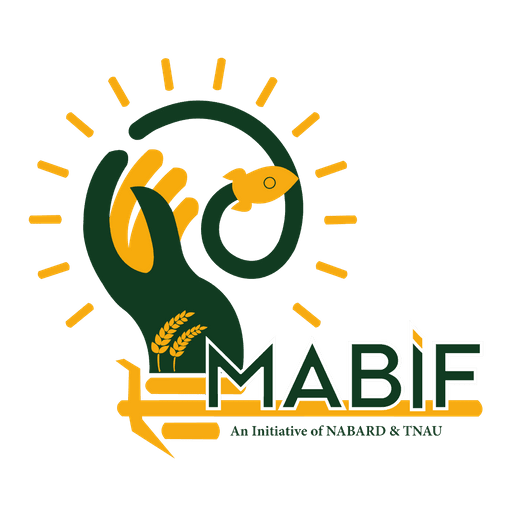 MABIF logo