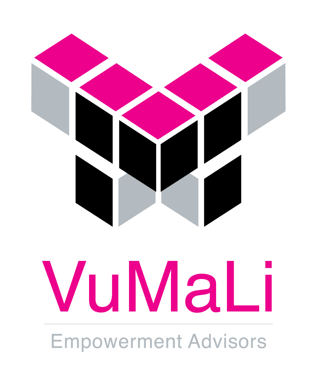 VuMaLi Empowerment Advisors logo