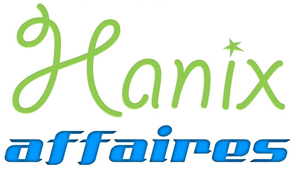 Hanix AFFAIRES logo