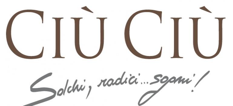Azienda Agricola Ciù Ciù logo
