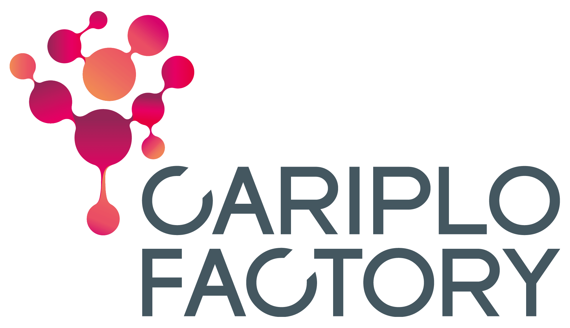 Cariplo Factory logo