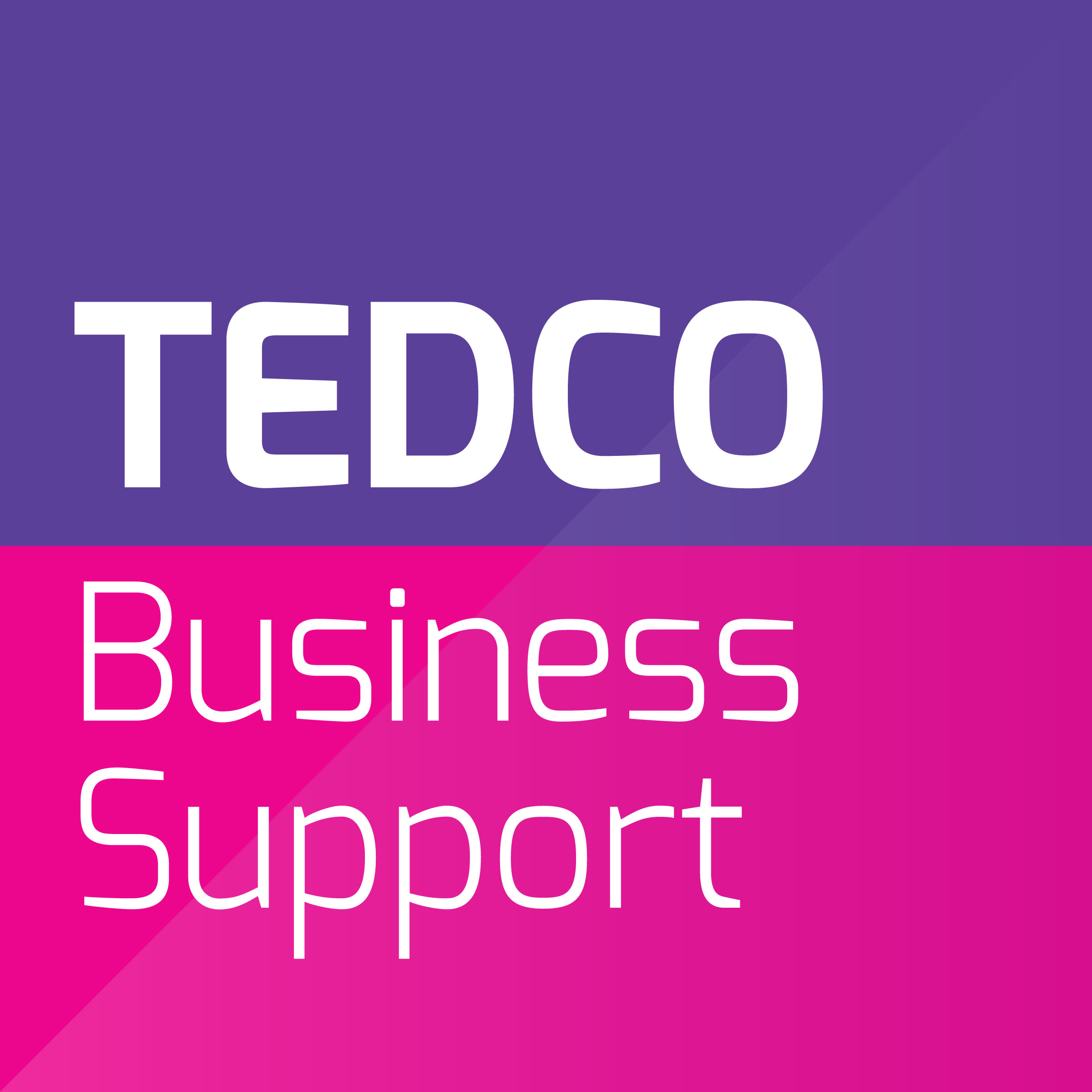 Tedco Business Support logo