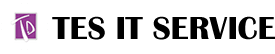 TES IT Service logo