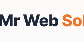 Mr Websol logo