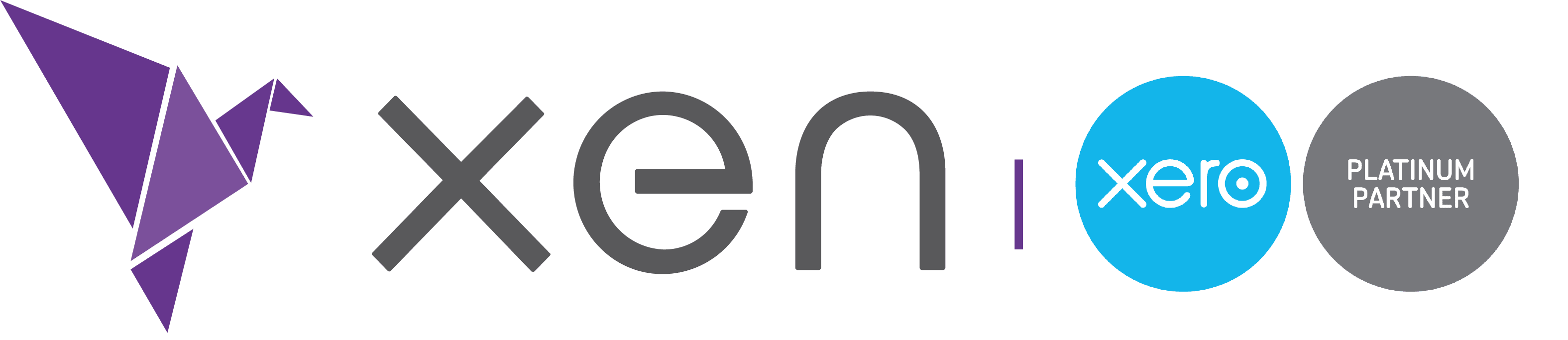 xen accounting logo