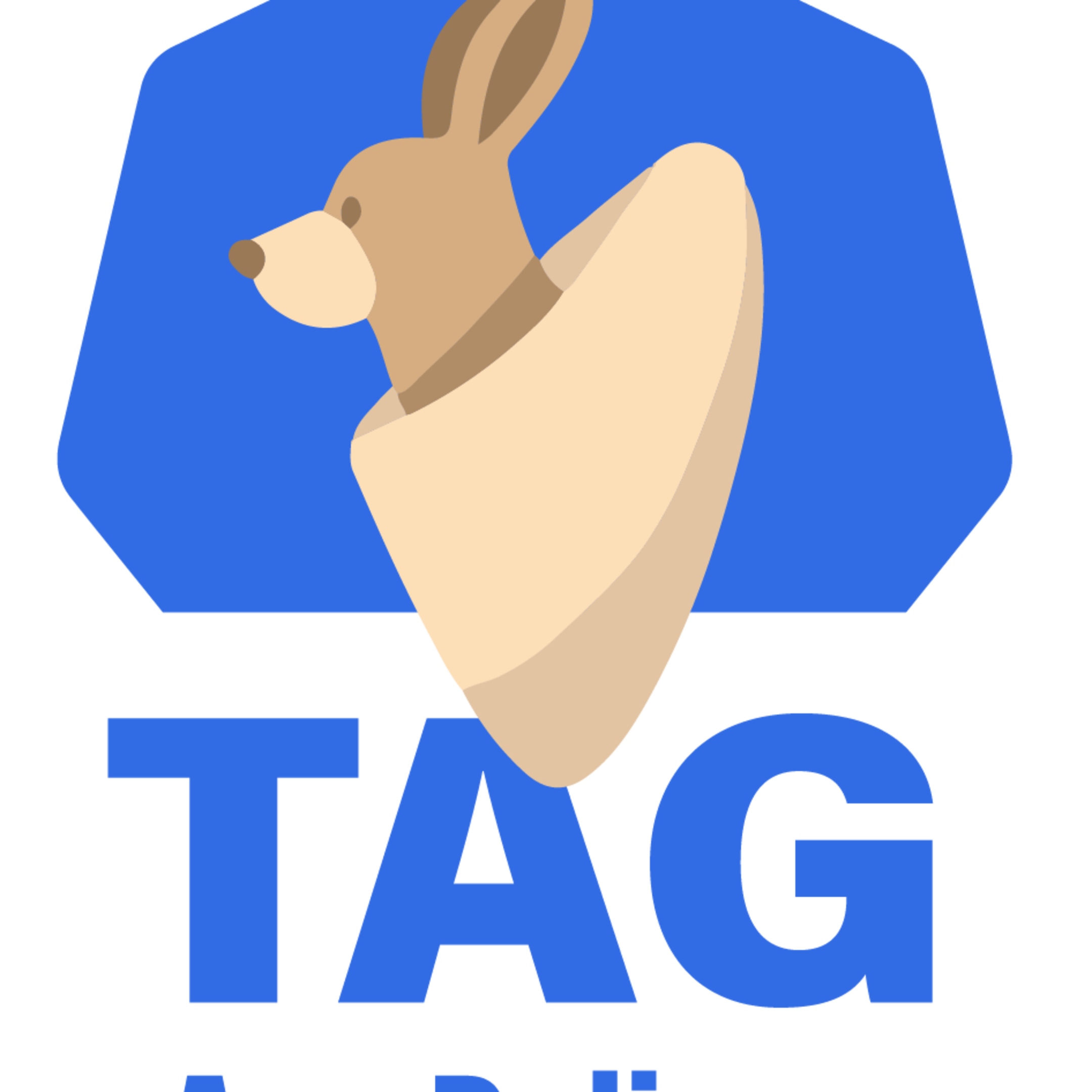 See TAG App Delivery General Meeting at CNCF TAG App Delivery