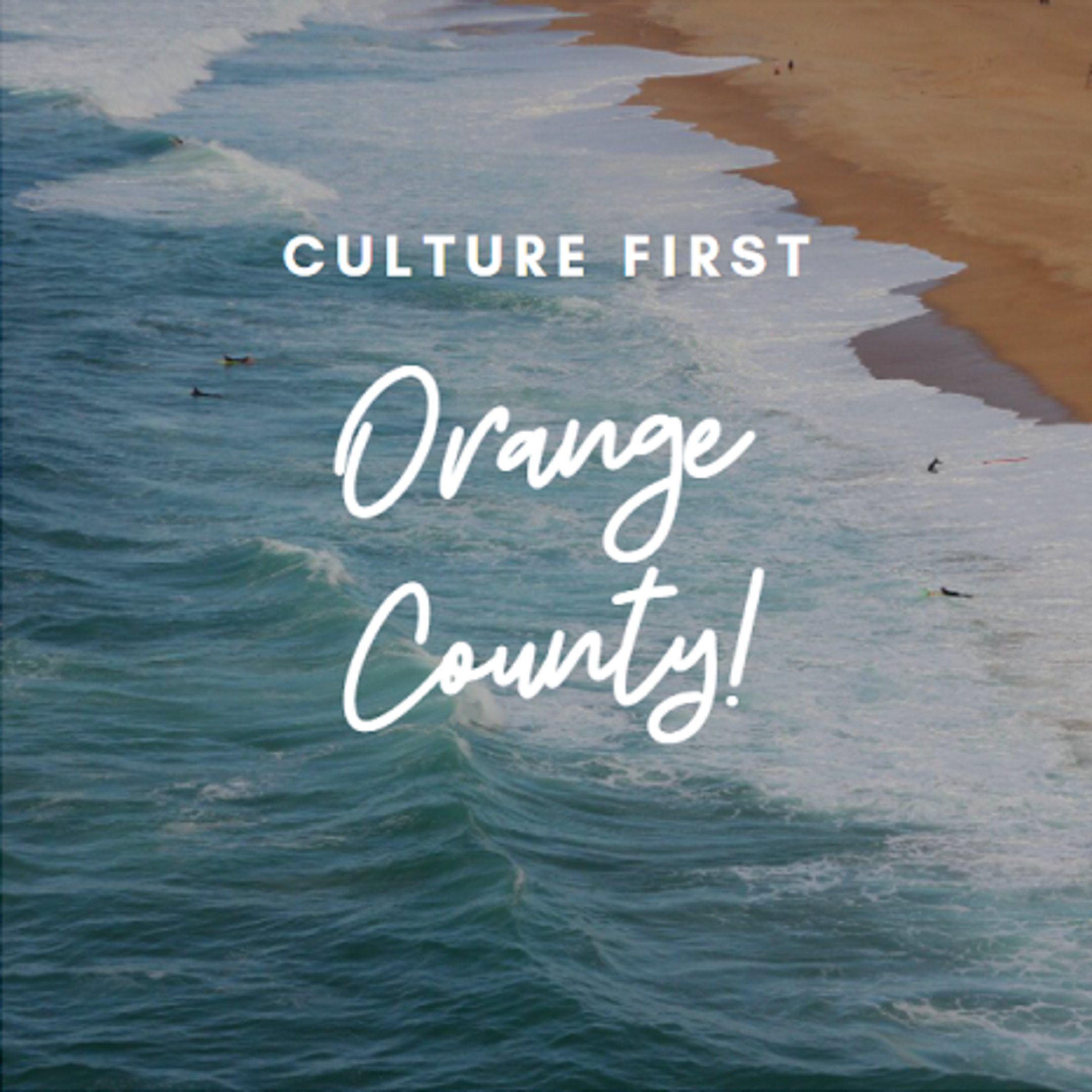 See Culture First OC Virtual Workshop: The Neuroscience of Employee ...
