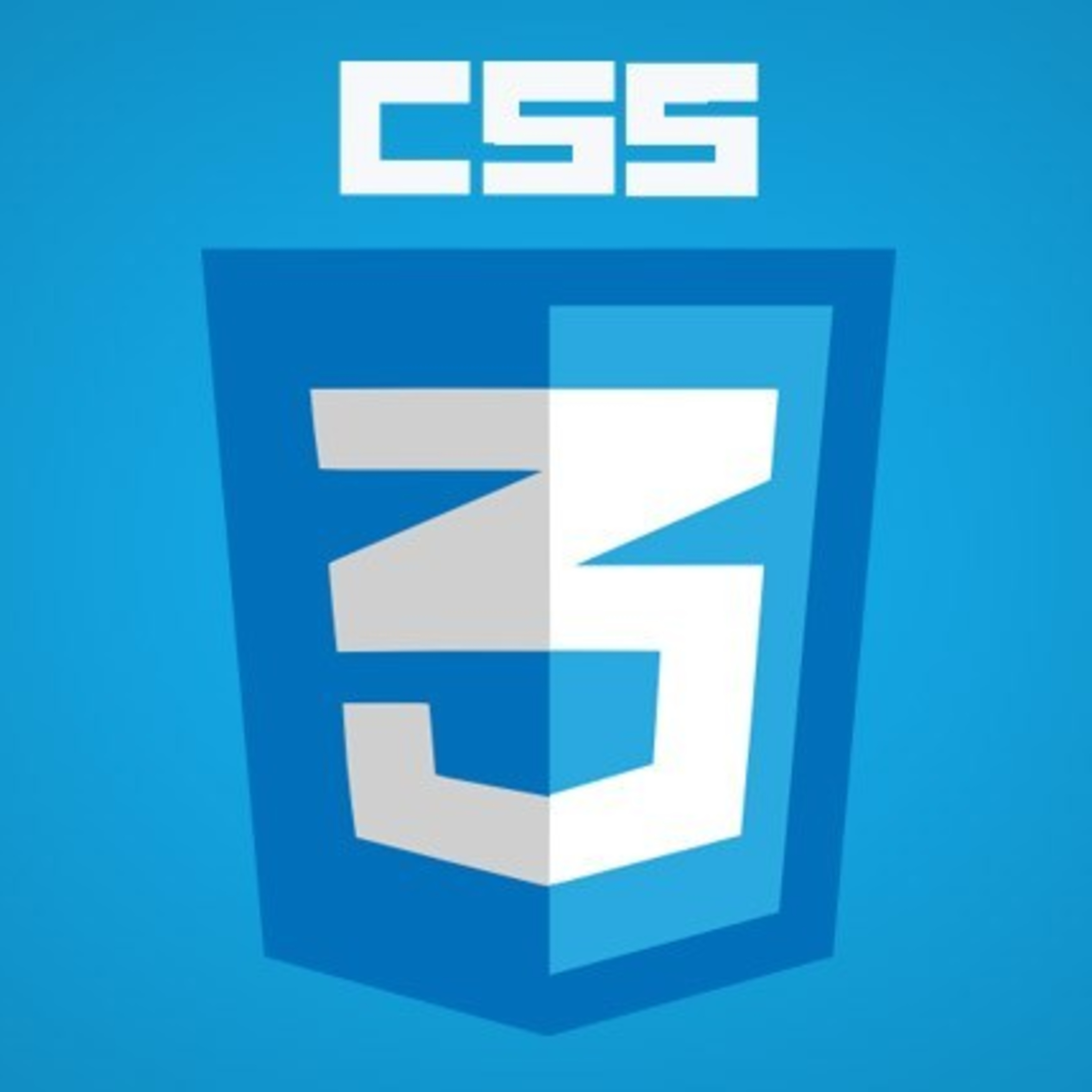 css logo