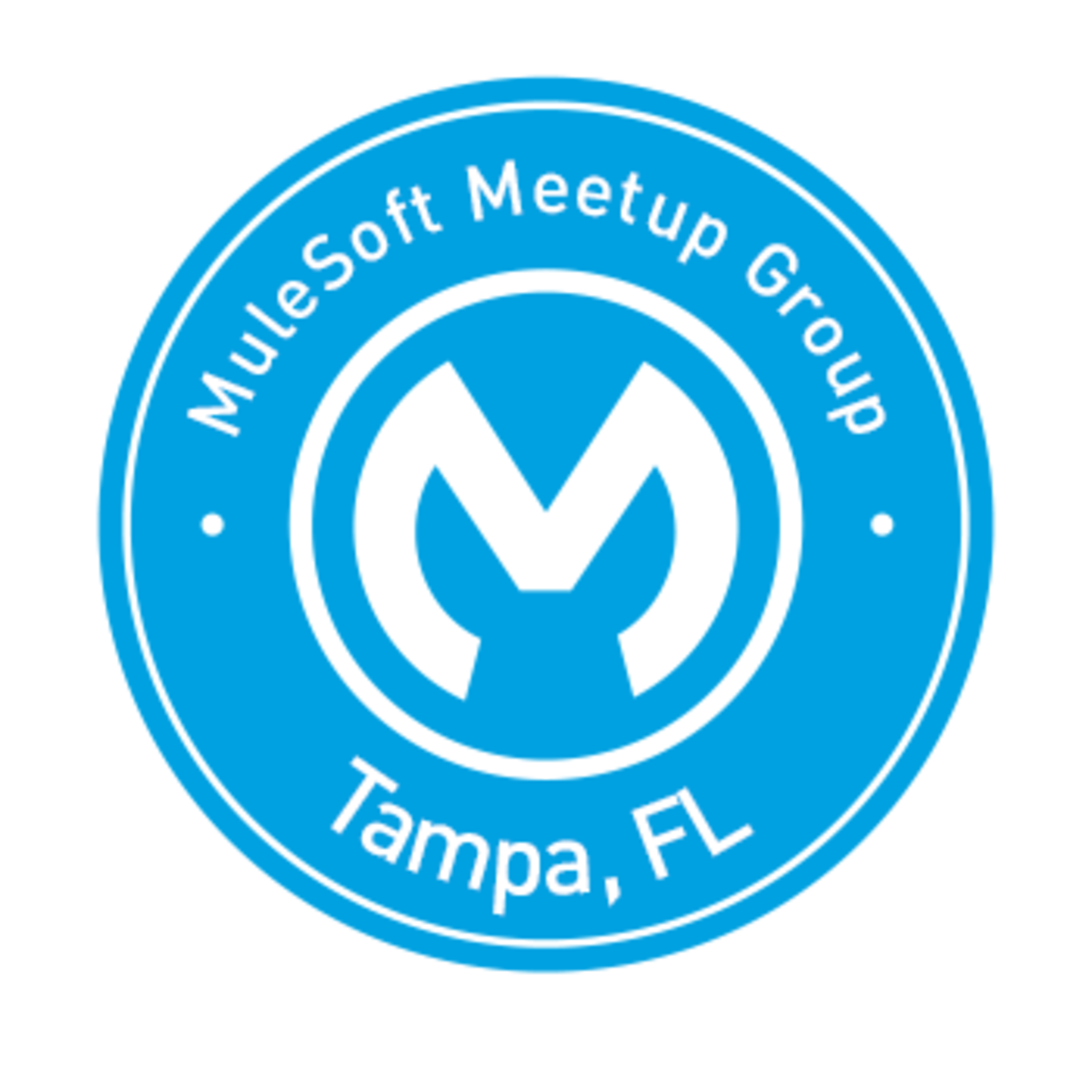 See Tampa Bay Mulesoft Meetup Topic Anypoint Runtime Fabric At