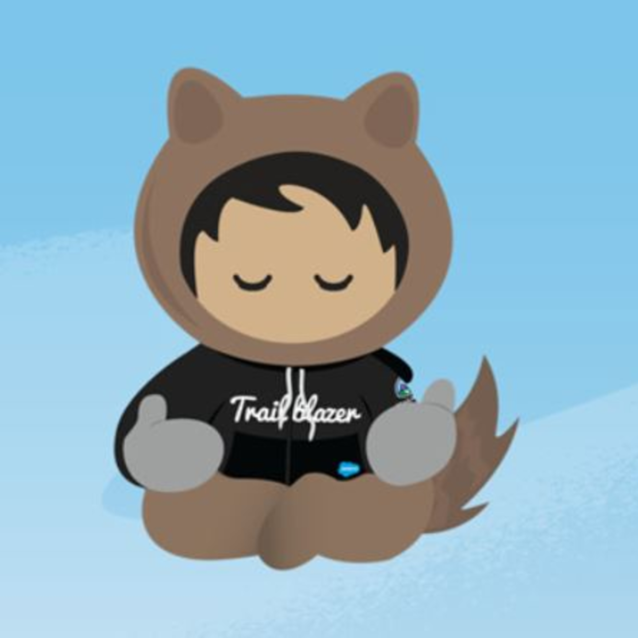 Trailblazer Community Groups Salesforce Mental Health & Illness Group 