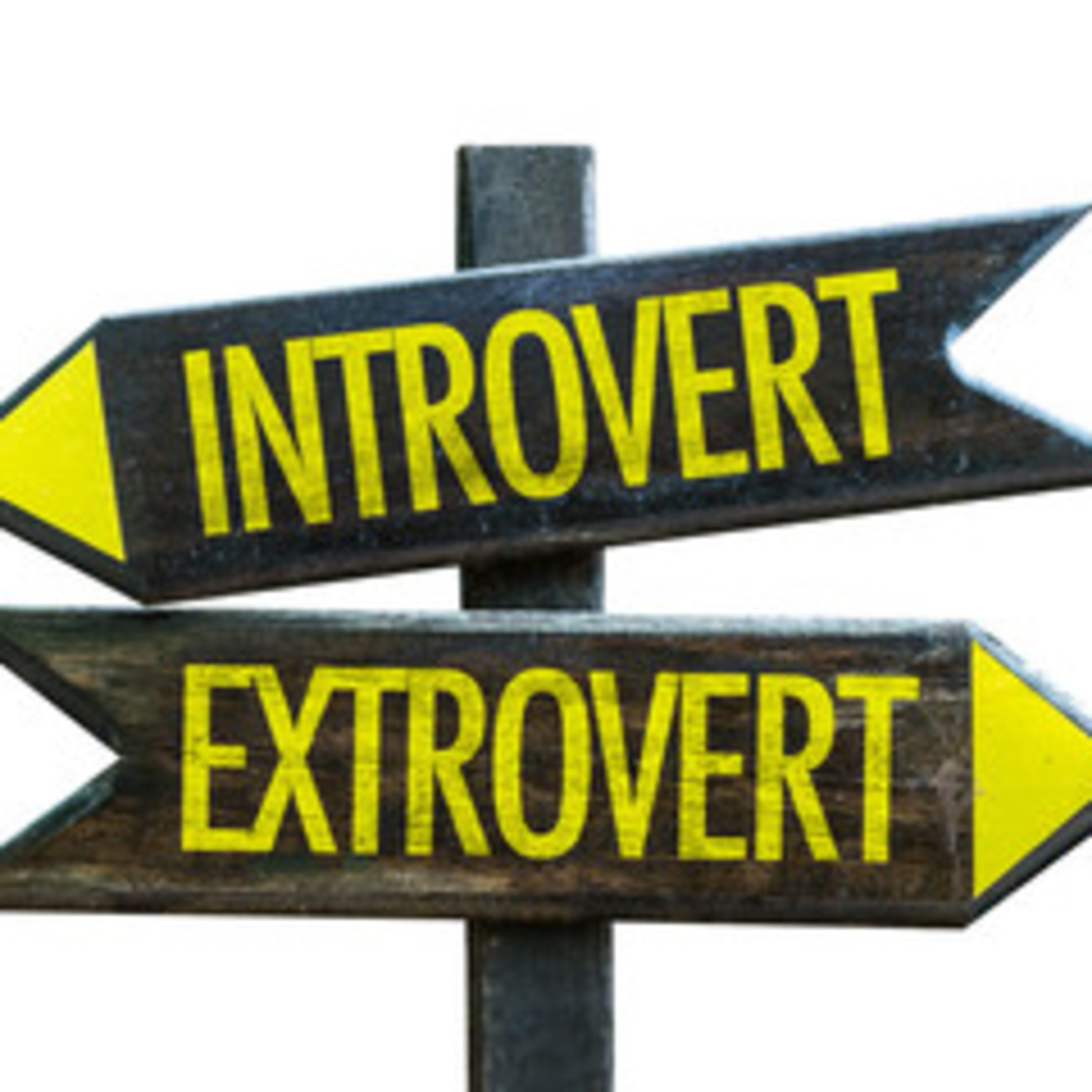 See Maximise Success as an Introvert and Extrovert - Sydney & Brisbane ...
