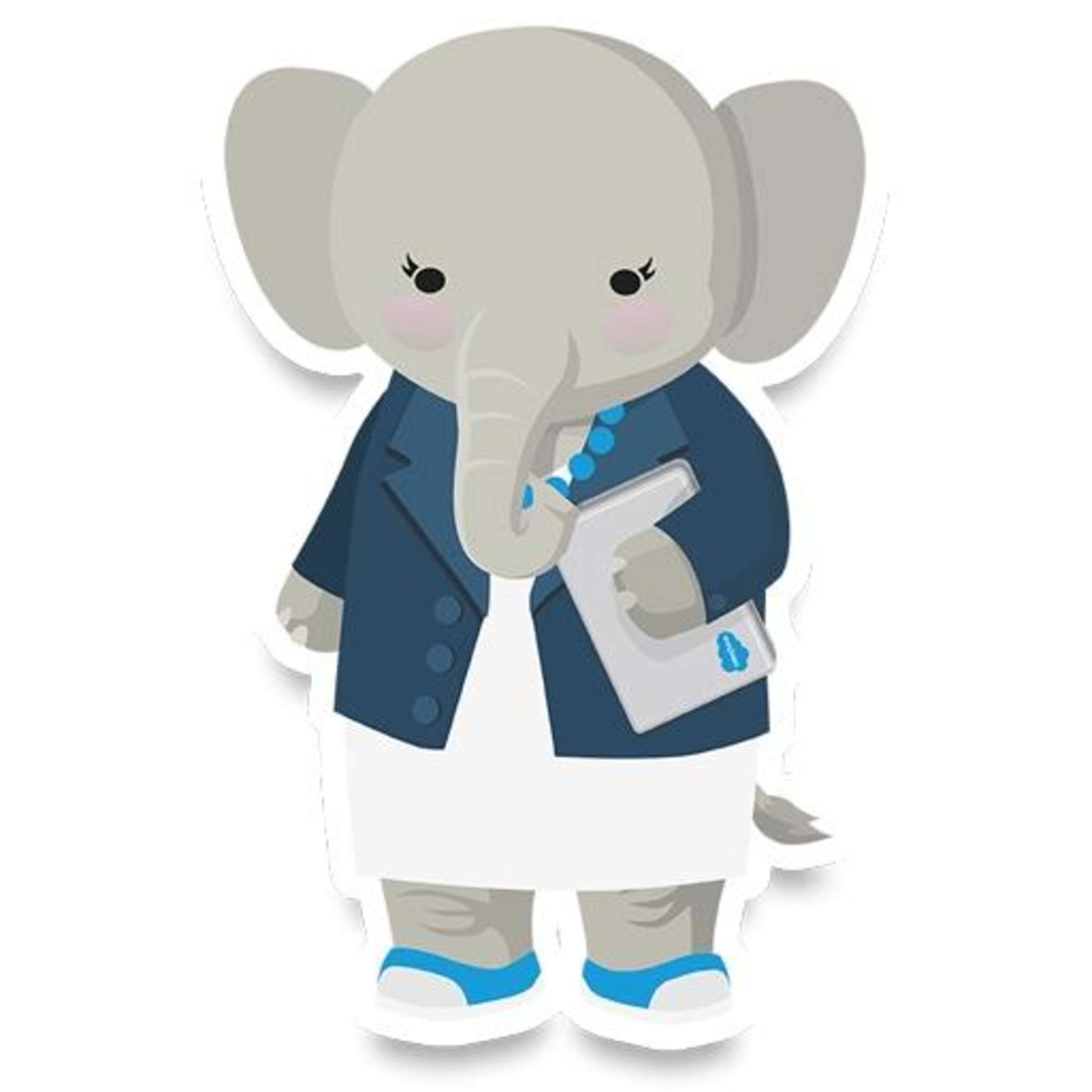 See SAUG Newmarket Group Meeting Integration Architect Certification