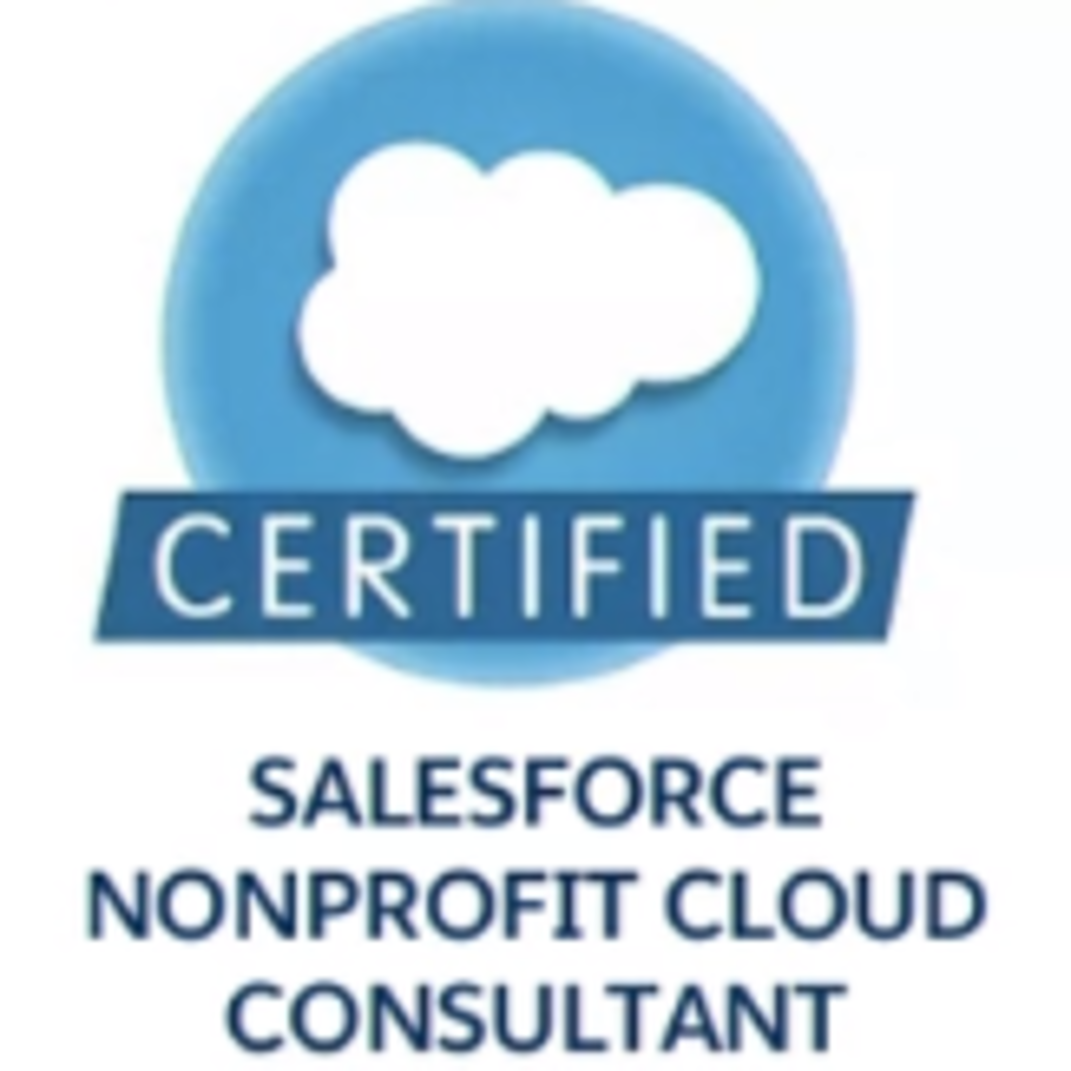 Nonprofit-Cloud-Consultant模擬問題