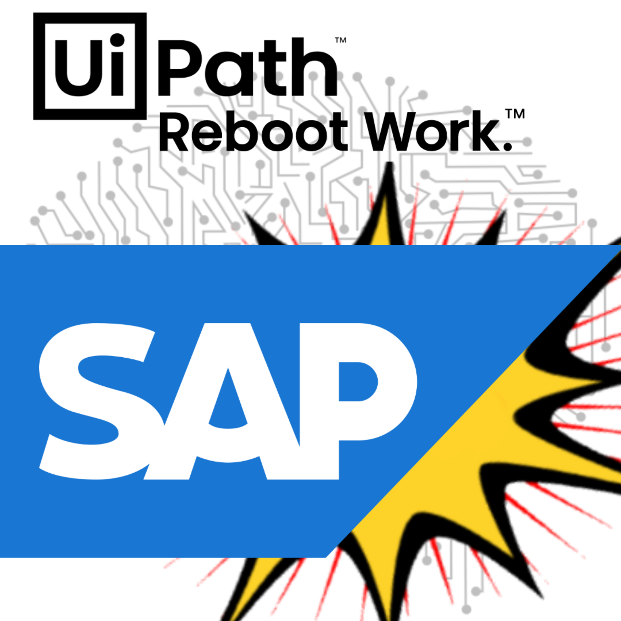 SAP for RPA Developers. Automation Tips and Tricks from SAP ABAP developer