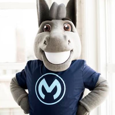 Max Mule (Mulesoft)