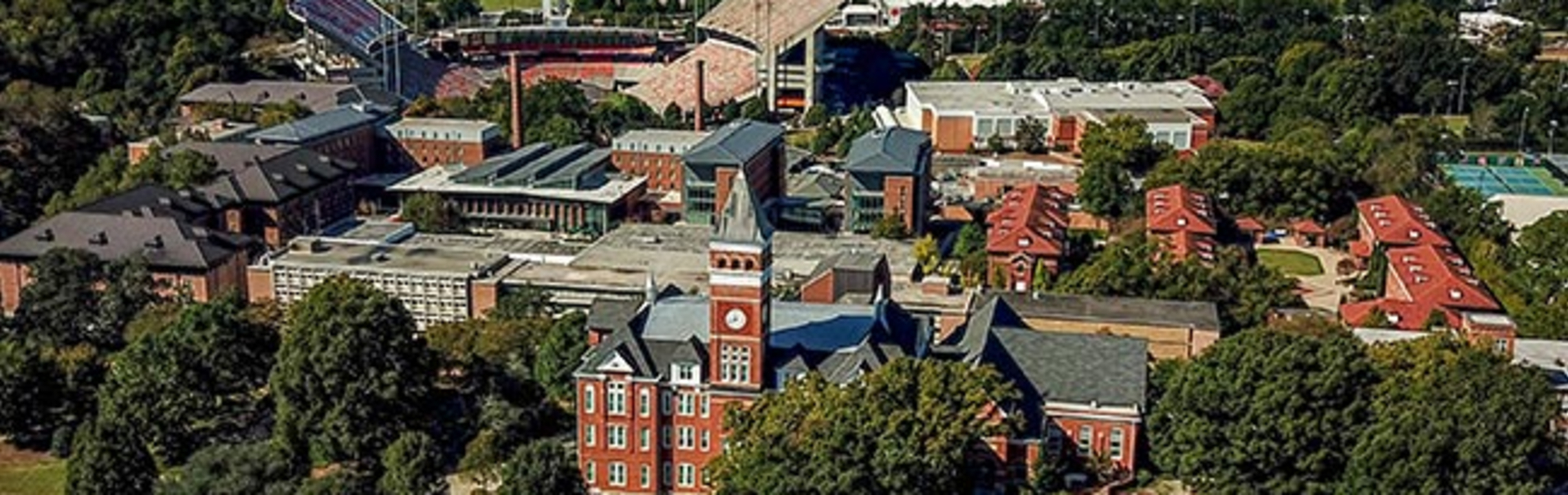 tcel clemson university