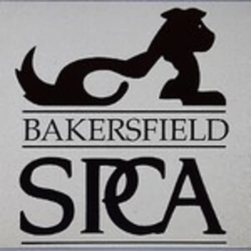 bspcas