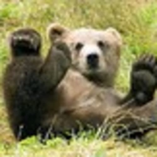 badbear_2