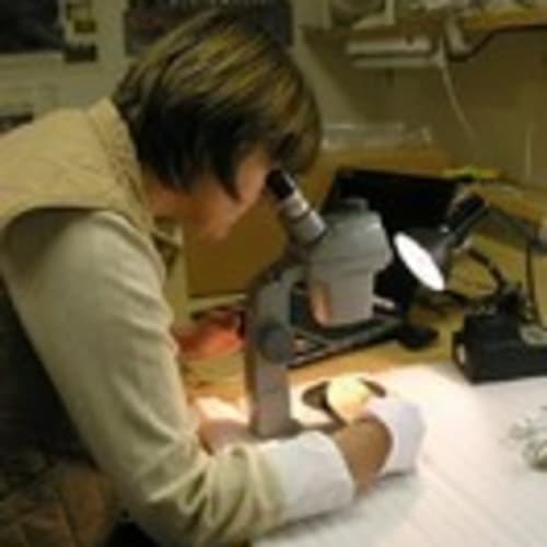 timelesscollections2011