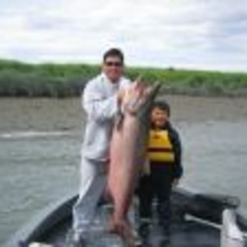 alluvz2fish