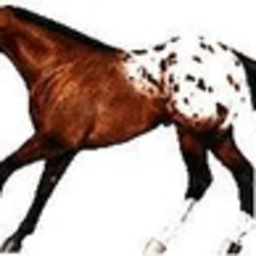 appylady777