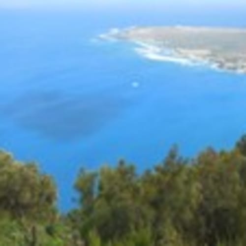 mauisurfsup