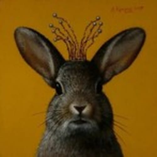 the*curious*hare