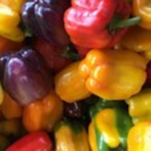 dnd8871